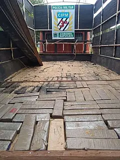 Caminhão boiadeiro é barrado com mais de 1 tonelada de maconha em Coronel Sapucaia