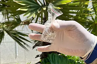 MS registra 8.372 casos confirmados de dengue
