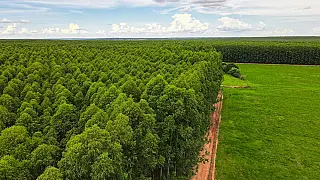 Eldorado Brasil abre vagas para operadores em Selvíria