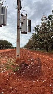 Polícia investiga nova tentativa de furto de equipamentos da rede elétrica rural em Aparecida do Tab