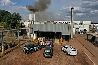 Polícia Civil de Paranaíba incinera mais de duas toneladas de drogas