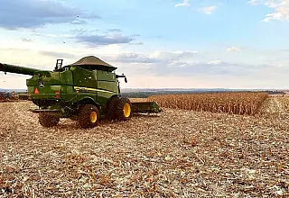 Produção agrícola de MS cai 30% em 2024 e interrompe ciclo de sete anos de crescimento