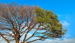 Final de semana que antecede a chegada oficial do inverno, será de tempo firme e temperaturas baixa
