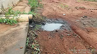 Polícia Militar Ambiental autua diretor de indústria