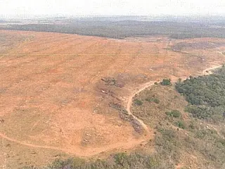 MP investiga queimadas ilegais em mais de 100 hectares em Bela Vista