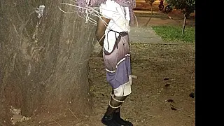 Bandido é amarrado em árvore por morador após roubar casa em Campo Grande