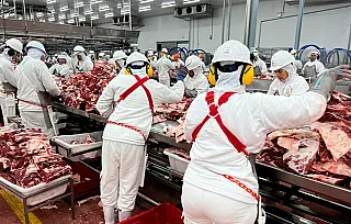 Frigorífico é condenado a pagar R$ 2 milhões por interferência sindical