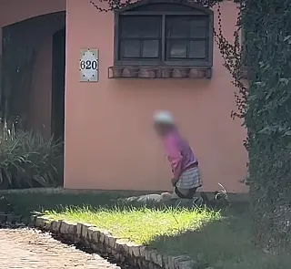 Idoso é preso em flagrante por maus-tratos contra cadela