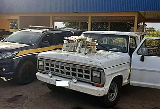 Motorista é preso transportando 62 kg de crack em tanque de combustível