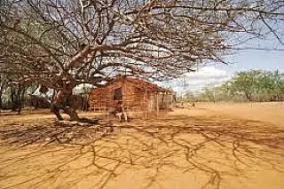 Dia Mundial de Combate à Desertificação e à Seca