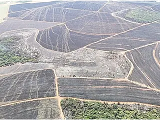 MPMS apura incêndio que devastou área nativa e agropastoril
