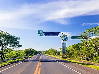 Em Bonito, MPMS acompanha obra da MS-382 e cobra medidas para proteger fauna silvestre