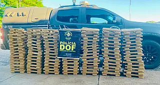 Veículo roubado que seguia para o Paraná com mais de 300 quilos de maconha é recuperado pelo DOF