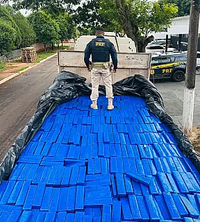 PRF apreende mais de 3,5 toneladas de maconha em caminhão na BR-163