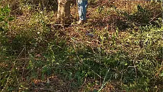 Homem é encontrado morto no Distrito de Vila Amandina, em Ivinhema
