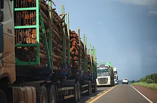Concessão da Rota da Celulose prevê R$ 10 bilhões em rodovias estaduais
