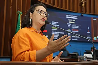 Gleice Jane cobra informações sobre preservação do Pantanal e impactos em comunidades locais