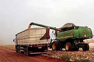 A colheita da soja, o escoamento da safra e a BR-262 são destaques no MS no Campo desta semana.