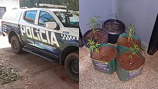 Suspeito de estupros é preso e polícia encontra maconha em Selvíria.