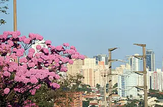 Anticiclone na Bolívia causa tempo seco em Mato Grosso do Sul nesta quarta-feira