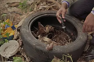 MS registra queda nas mortes por dengue em 2024