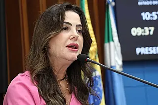 Plano Estadual de Combate à Violência Doméstica será elaborado, anuncia Mara Caseiro