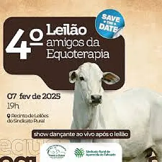 5º Leilão "Amigos da Equoterapia" acontece nesta sexta-feira em Aparecida do Taboado