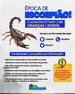 Aparecida do Taboado reforça orientações para prevenir acidentes com escorpiões