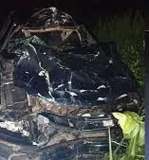 Jovem  colide com vacas na pista em Santa Fé do Sul