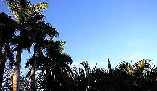 Meteorologia prevê mais um dia seco em MS com desconforto à saúde