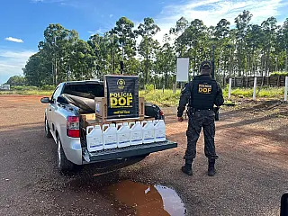 DOF apreende 250 litros de agrotóxicos contrabandeados na MS-164