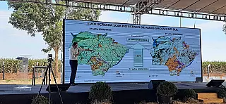 Showtec aponta crescimento em áreas de plantio no MS