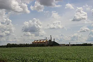 Produção agropecuária de MS deve superar R$ 76 bilhões e crescer acima da média