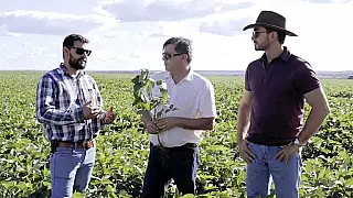 Produtores Rurais Enfrentam Impactos do El Niño com Replantio da Soja