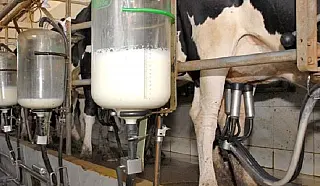 No Dia Mundial do Leite, Governo incentiva atividade que reúne 20 mil produtores no Estado