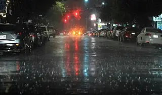 Chuva com vendaval derruba árvore e interdita rodovia que liga Fátima do Sul a Dourados