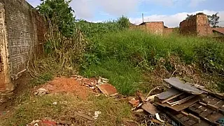 Caarapó notifica proprietários e exige limpeza de terrenos baldios em até 30