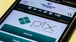 Cliente é presa ao dar golpe do PIX em pet shop na compra de 14 sacos de ração