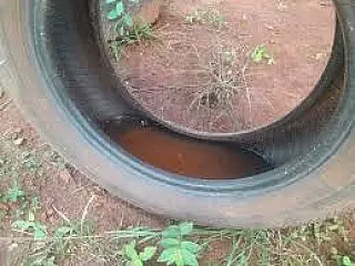 Pneus com água parada geram alerta em ecoponto de Cassilândia