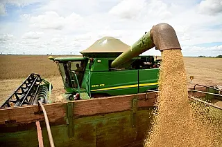 Quase metade da safra de soja 2019/2020 já foi comercializada em MS