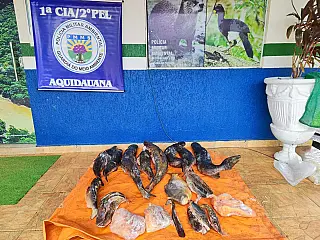 Fiscalizações da operação piracema já apreenderam 270 kg de pescado irregular