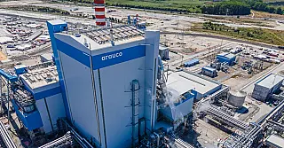 Projeto Sucuriú avança e transforma Inocência em polo da celulose
