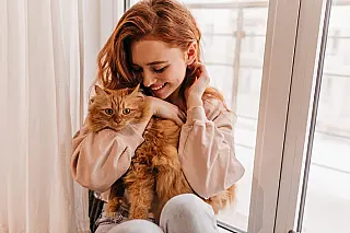 Dia de Abraçar seu Gato
