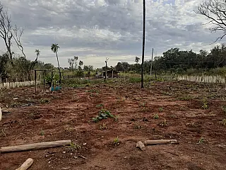 PMA multou em R$ 5 mil assentada em D. I. do Buriti