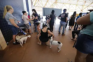 Caravana de castração encerra primeira etapa com 20 mil animais atendidos