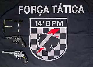 Duas armas e munições são apreendidas durante abordagem na BR-376