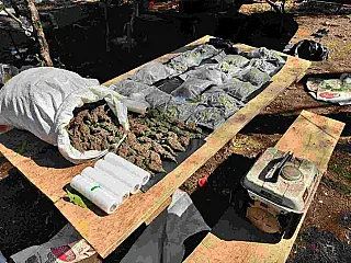 Mais de 6,5 toneladas de maconha são destruídas em acampamento na fronteira