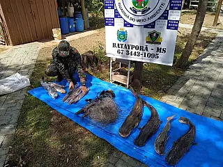 PMA de Batayporã apreende pescado irregular