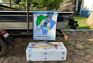 Douradense é preso e multado por capturar peixe com pesca proibida