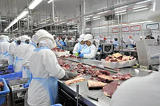 Setor industrial de MS cria 14 mil vagas; Aparecida doTaboado se destaca no Leste do Estado